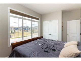 Photo 23: 122 CHAPARRAL VALLEY Square SE in Calgary: Chaparral House for sale : MLS®# C4113390
