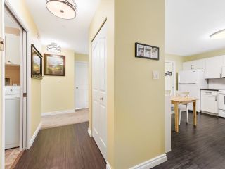 Photo 14: 247 2451 GLADWIN Road in Abbotsford: Abbotsford West Condo for sale in "Centennial Court - The Oaks" : MLS®# R2869948