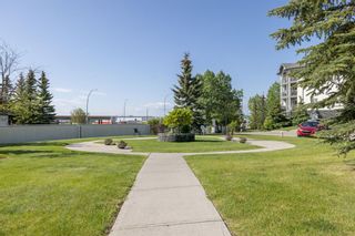 Photo 26: 204 55 Arbour Grove Close NW in Calgary: Arbour Lake Apartment for sale : MLS®# A2053299