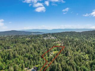 Photo 6: 2680 Otter Point Rd in Sooke: Sk Broomhill House for sale : MLS®# 933021