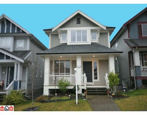 Main Photo: 16580 60A Avenue in Surrey: Cloverdale BC House for sale in "VISTAS" (Cloverdale)  : MLS®# F1000531