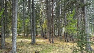 Photo 32: 239 5241 Township Road 325A: Rural Mountain View County Detached for sale : MLS®# A2050124