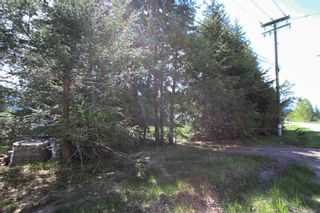 Photo 7: Lot 11 Squilax Anglemont Road in Anglemont: Land Only for sale : MLS®# 10241851