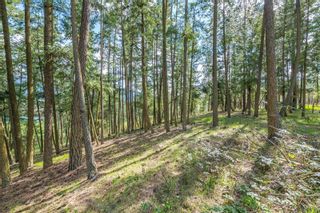 Photo 18: Lot 1 Gulch Road, in Armstrong: Vacant Land for sale : MLS®# 10265215