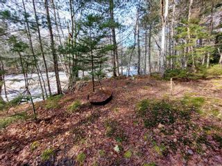 Photo 15: Lot Bowers Road in Lower Ohio: 407-Shelburne County Vacant Land for sale (South Shore)  : MLS®# 202302336