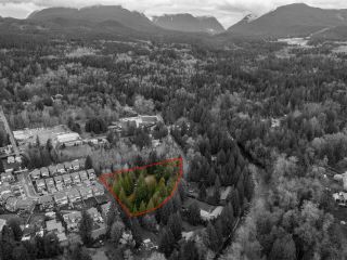 Photo 11: 24115 FERN Crescent in Maple Ridge: Silver Valley House for sale : MLS®# R2772242