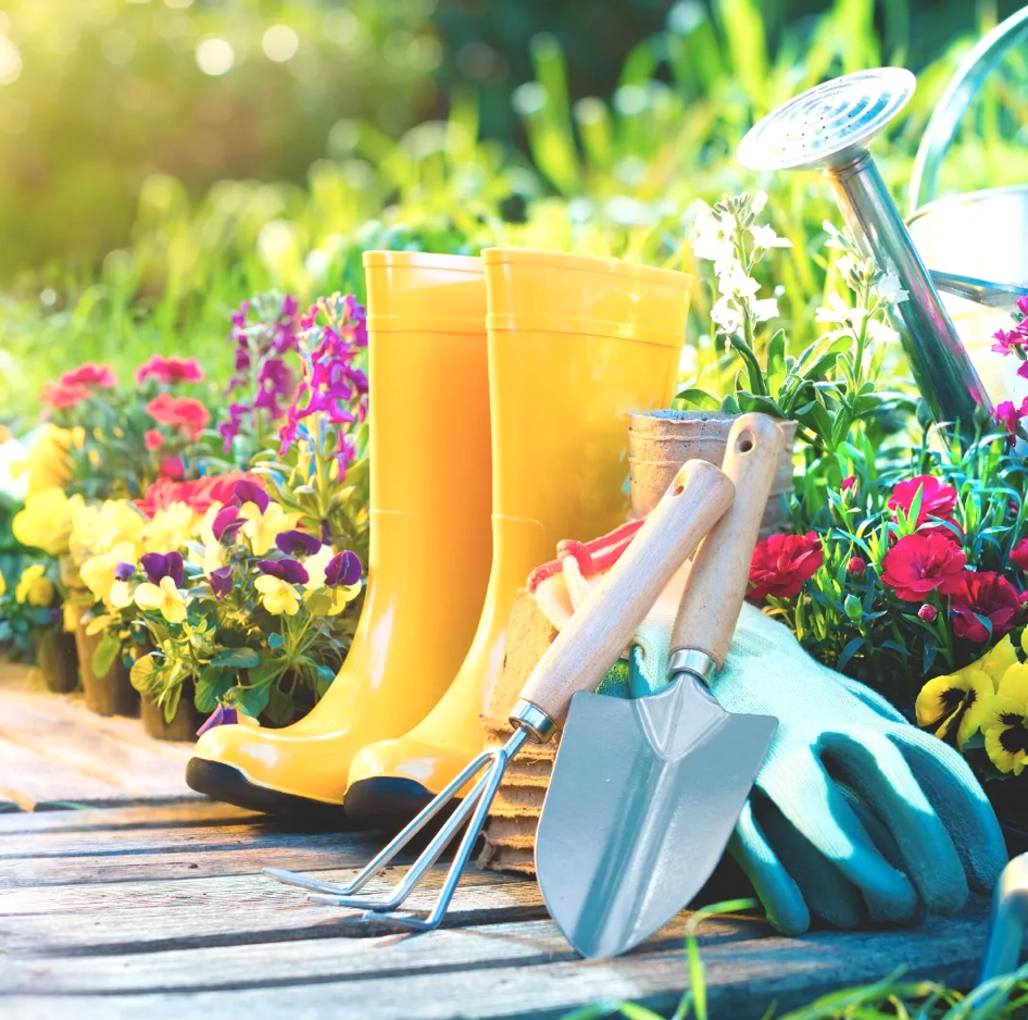 Get Garden Ready; How Spring Planning Makes for Summer Success