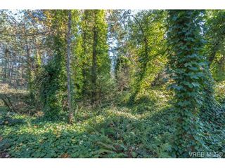 Photo 4: 6586 West Saanich Rd in SAANICHTON: CS Brentwood Bay House for sale (Central Saanich)  : MLS®# 716428