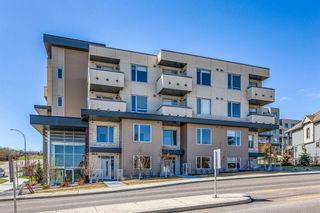 Photo 20: 12 30 Shawnee Common SW in Calgary: Shawnee Slopes Apartment for sale : MLS®# A2123625