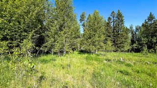 Photo 45: 33227 Range Road 52 (River Road): Rural Mountain View County Residential Land for sale : MLS®# A2054327