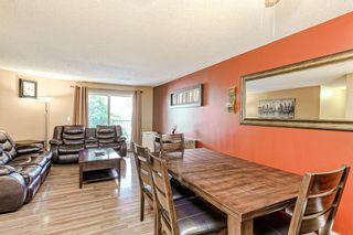 Photo 5: 304 21 Dover Point SE in Calgary: Dover Apartment for sale : MLS®# A2012271