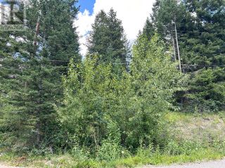 Photo 3: 2941 MCCREIGHT ROAD in Kamloops: Vacant Land for sale : MLS®# 173707