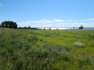 Photo 1: On Range Road 52: Rural Parkland County Commercial Land for sale : MLS®# A1252782