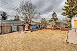 Photo 41: 115 Queensland Circle SE in Calgary: Queensland Detached for sale : MLS®# A2112471