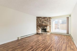 Photo 4: 109 1001 68 Avenue SW in Calgary: Kelvin Grove Apartment for sale : MLS®# A2014564