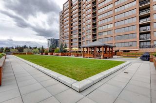 Photo 32: 801 330 26 Avenue SW in Calgary: Mission Apartment for sale : MLS®# A2133384