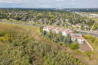 Photo 40: 301 505 Canyon Meadows Drive SW in Calgary: Canyon Meadows Apartment for sale : MLS®# A2078618