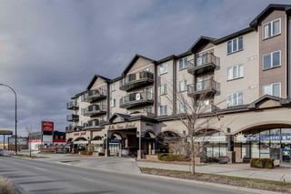 Photo 2: 302 1727 54 Street SE in Calgary: Penbrooke Meadows Apartment for sale : MLS®# A2097125