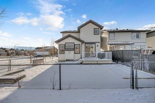 Photo 40: 186 Skyview Shores Crescent NE in Calgary: Skyview Ranch Detached for sale : MLS®# A2097630