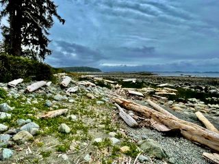 Photo 56: 1001 Seventh Ave in Ucluelet: PA Salmon Beach House for sale (Port Alberni)  : MLS®# 901357