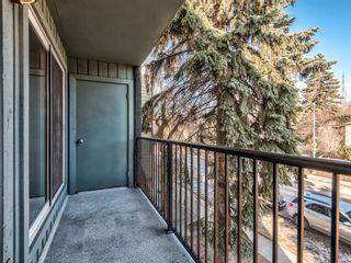 Photo 28: 202 1603 26 Avenue SW in Calgary: South Calgary Apartment for sale : MLS®# A1100163