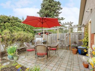 Photo 25: 7785 Scohon Dr in Central Saanich: CS Saanichton House for sale : MLS®# 901299