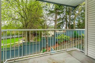 Photo 36: 20 34332 MACLURE Road in Abbotsford: Central Abbotsford Townhouse for sale in "Immel Ridge" : MLS®# R2810763