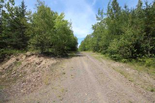 Photo 10: 9066 Highway 215 in Pembroke: 403-Hants County Vacant Land for sale (Annapolis Valley)  : MLS®# 202015557