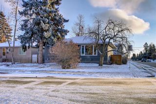 Photo 46: 2504 18 Street NW in Calgary: Capitol Hill Detached for sale : MLS®# A1176540