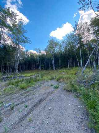 Photo 6: Lot 35 Wall Street in Cape George: 305-Richmond County / St. Peters & Area Vacant Land for sale (Highland Region)  : MLS®# 202123287