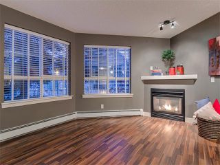 Photo 11: 151 35 RICHARD Court SW in Calgary: Lincoln Park Condo for sale : MLS®# C4038042