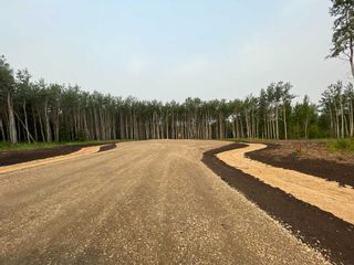 Photo 11: lot 2 Range Road 84 Township Road 722: Wembley Residential Land for sale : MLS®# A2105073