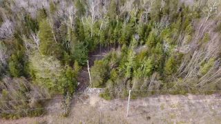 Photo 9: Lot 2 Little Egypt Road in Little Harbour: 108-Rural Pictou County Vacant Land for sale (Northern Region)  : MLS®# 202304739