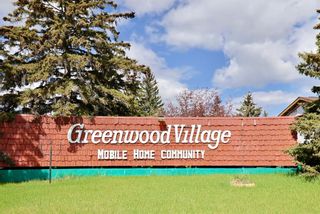 Photo 40: 181 3223 83 Street NW in Calgary: Greenwood/Greenbriar Mobile for sale : MLS®# A2133369