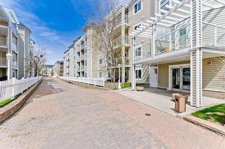 Main Photo: 420-21 290 Shawville Way SE in Calgary: Shawnessy Apartment for sale : MLS®# A2102207