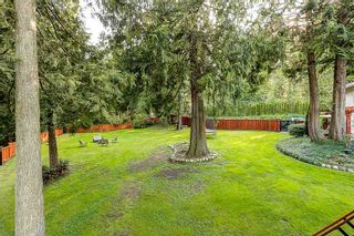 Photo 6: 11450 WILSON Street in Mission: Stave Falls House for sale : MLS®# R2088701