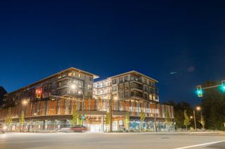 Photo 16: 408 38362 BUCKLEY Avenue in Squamish: Dentville Condo for sale : MLS®# R2720554