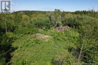 Photo 5: - 776 Route in Grand Manan: Vacant Land for sale : MLS®# NB101200