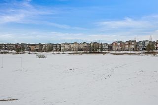 Photo 40: 8 Evansdale Way NW in Calgary: Evanston Detached for sale : MLS®# A2022181