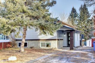 Main Photo: 219 Whitehill Place Place NE in Calgary: Whitehorn Semi Detached for sale : MLS®# A1174147