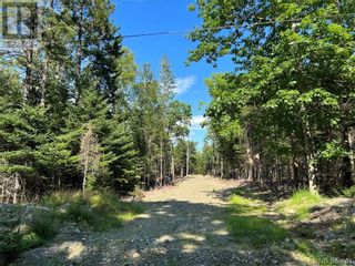 Photo 4: 0 Hills Point Road in Oak Bay: Vacant Land for sale : MLS®# NB084727
