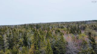 Photo 13: NO 3 Highway in Upper Woods Harbour: 407-Shelburne County Vacant Land for sale (South Shore)  : MLS®# 202309286