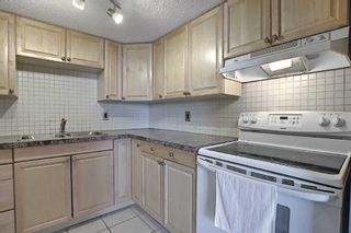 Photo 11: 302 1540 29 Street NW in Calgary: St Andrews Heights Apartment for sale : MLS®# A2127097
