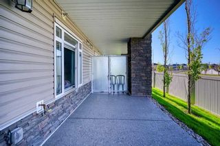 Photo 15: 1106 6118 80 Avenue NE in Calgary: Saddle Ridge Apartment for sale : MLS®# A2123612
