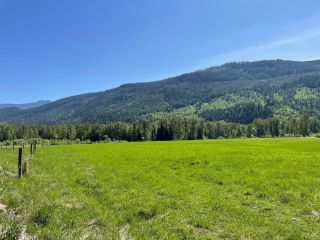 Photo 13: 3134 Mabel Lake Road in Lumby: Vacant Land for sale : MLS®# 10274152