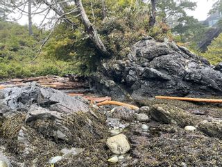 Photo 29: LOT 12 Marine Dr in Ucluelet: PA Ucluelet Land for sale (Port Alberni)  : MLS®# 947210