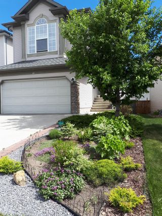 Photo 37: 16 Springborough Point SW in Calgary: Springbank Hill Detached for sale : MLS®# A2009543