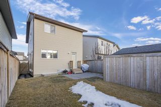 Photo 30: 23 Walden Manor SE in Calgary: Walden Detached for sale : MLS®# A1179933