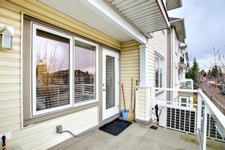 Photo 17: 2206 5200 44 Avenue NE in Calgary: Whitehorn Apartment for sale : MLS®# A1210439