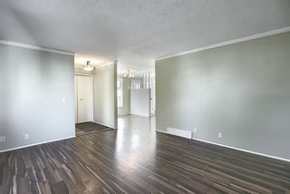 Photo 15: 4603 43 Street NE in Calgary: Whitehorn Detached for sale : MLS®# A1031744